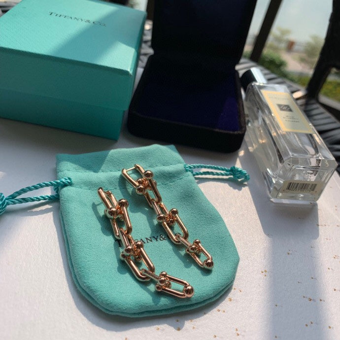 T HardWear Graduated Link Earrings